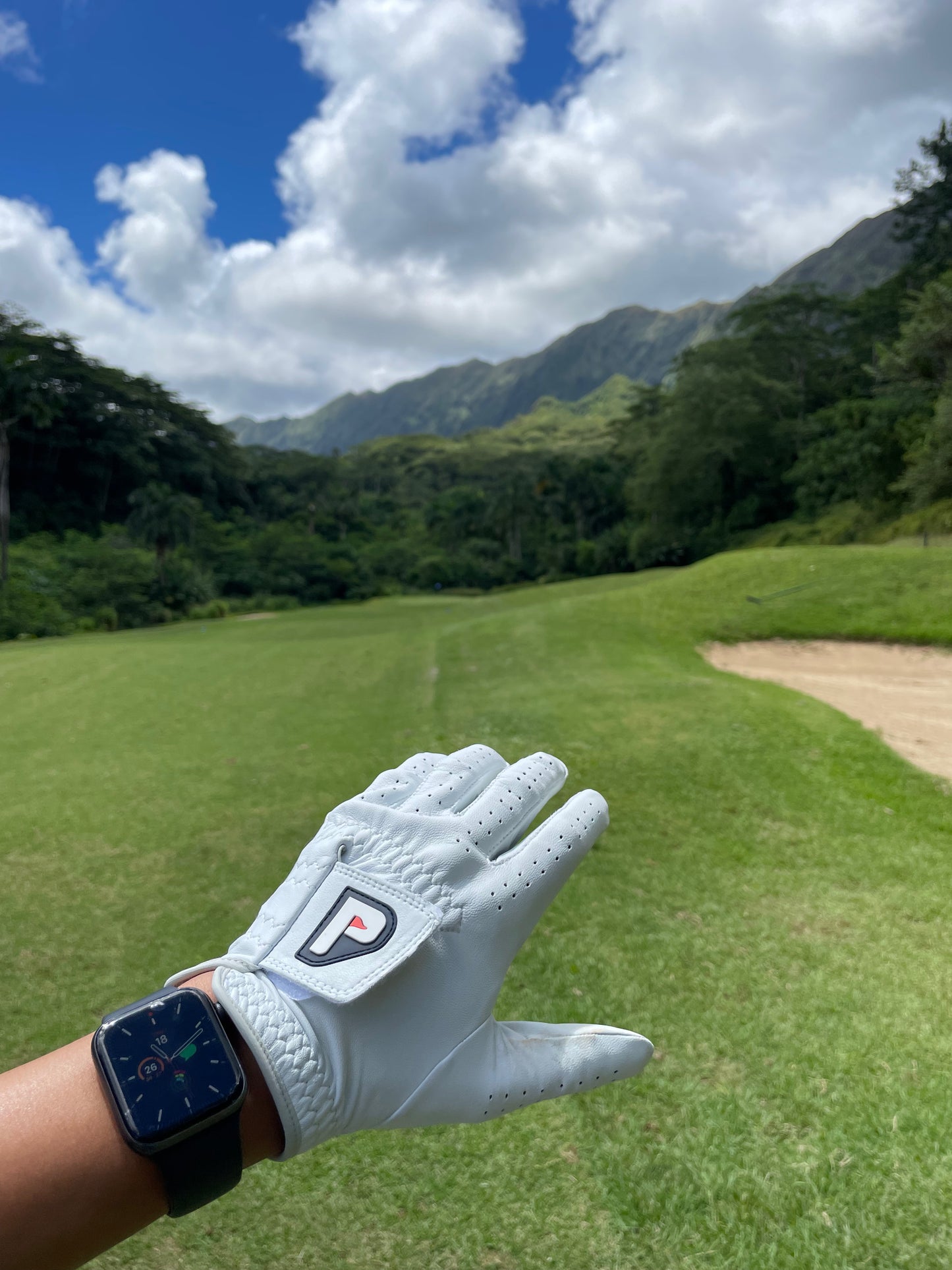showcasing-white-Cabretta-Leather-Gloves